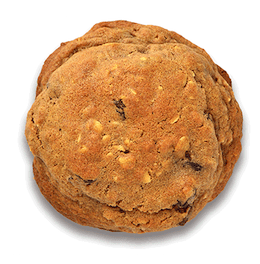 Oatmeal & Raisin