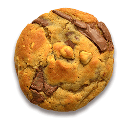 Milk Chocolate & Praline